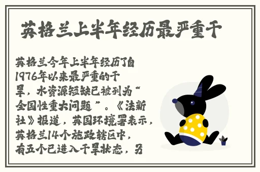 春雨资讯app